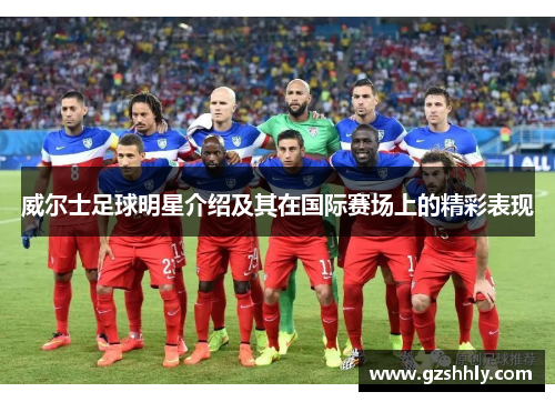 威尔士足球明星介绍及其在国际赛场上的精彩表现
