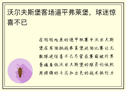 沃尔夫斯堡客场逼平弗莱堡，球迷惊喜不已